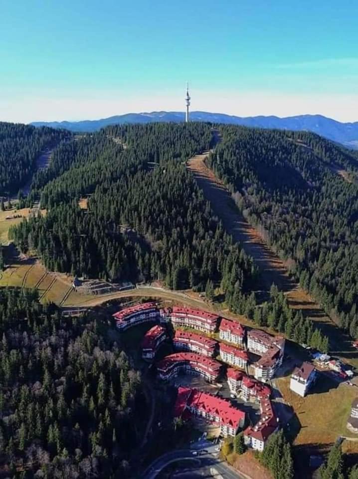 Viva 4-A-23 Apartment Ski To The Door Complex Grand Monastery Pamporovo Bagian luar foto